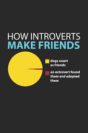 How Introverts Make Friends Introvert Funny Extrovert Adc