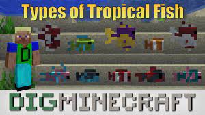Take A Look At The 22 Different Types Of Tropical Fish In The New Minecraft Aquatic Update In This Youtube Video Tropical Fish Fish Patterns Fish