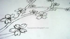 12 Gambar Bunga Sakura Pensil 20 Gambar Sketsa Kumpulan Gambar Sketsa Bunga Gambar Bunga Sakura Sketsa Halaman Mewarnai Anak Mem Di 2020 Bunga Sketsa Lukisan Bunga