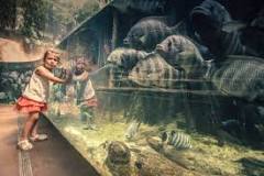Image result for what is a experiential course