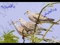 جديد ٢٠٢١ سافرتا ٢ كلمات حمدالنيل ابوشوله أداء المبدع ابراهيم ود العليش. ÙˆØ¯Ø§Ù„Ø¹Ù„ÙŠØ´ Ø³Ø§ÙØ±ØªØ§ Mp3