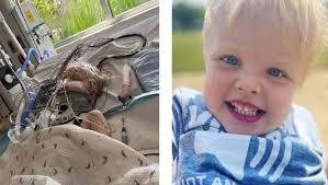 Fundraiser by Madeleine Leliveld : Prayers for Waylon