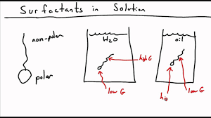 Surfactants form a unique class of chemical compounds. Introduction To Surfactants Youtube