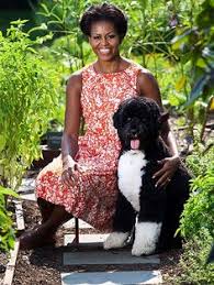 Bo, a portuguese water dog given to the obama children today our family lost a true friend and loyal companion, obama tweeted. 250 Bo Obama And Family Ideas Obama Bo Obama Barack And Michelle