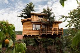 So this is like living in lord of the rings except without constant danger from the forces of evil. Baumhaus Imbach Updated 2021 Prices