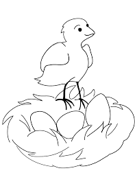 Learn to identify nests by size and shape. Nest Coloring Page Coloring Home