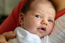 Leinani Shak Photography