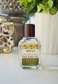 Best Sinus Infection Remedy Tea Tree For All Uses Especially Sinus Congestion Dip Qtip In Tea Tree Oil I Sinus Infection Remedies Sinusitis Tea Tree Oil