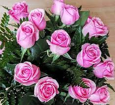 Maybe you would like to learn more about one of these? Envio De Flores A Domicilio En Almeria En El Dia