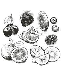 Pin On Etsy Fruit Clipart Hand Drawn Collection Of Fruits Sketch Eps Vector Jpg