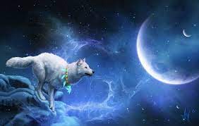 1920x1080 fantasy wolf wallpapers fantasy wolf pin d hd on pinterest 1920ã—1080 wolf fantasy wallpapers. Fantasy Wolf Wallpapers Top Free Fantasy Wolf Backgrounds Wallpaperaccess