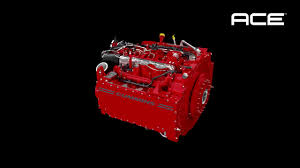 ACE