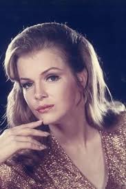 Kristi Ferrell On tv