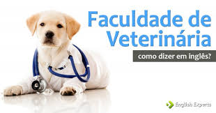 La medicina me parece fascinante, especialmente la veterinaria.i find medicine fascinating, especially veterinary science. Como Dizer Faculdade De Veterinaria Em Ingles English Experts