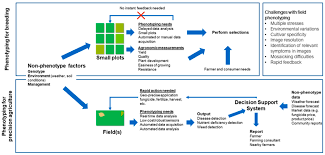 The constant challenge in plant breeding is to deal with the overcome disease and pest resistance and the development of new aggressive strains of pathogens such as fungi puccinia striiformis, a causal agent of wheat yellow rust. Agronomy Free Full Text High Throughput Field Phenotyping Tools For Plant Breeding And Precision Agriculture Html