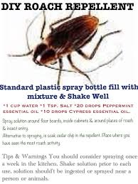 Pin By Phyllis Seligman On Diy Pest Control Roaches Diy Pest Control Best Pest Control