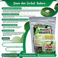 Maybe you would like to learn more about one of these? Jual Daun Bidara Jakarta Selatan Iyaaya Store Tokopedia