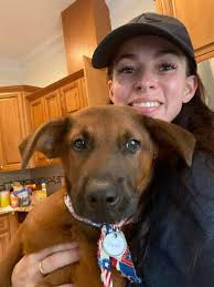 Bento the dog saves a distressed horse in New York