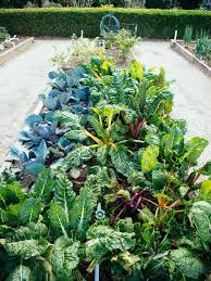 The green plant department, quezon city, philippines. Chart How Much To Plant For A Year S Worth Of Food Garden Betty