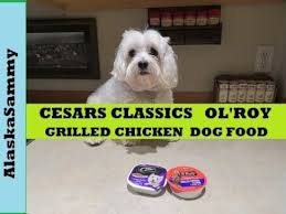 Each recipe below includes its related aafco nutrient profile when available on the product's official webpage: Cesar Old Roy Dog Food Grilled Chicken Taste Test Product Review Youtube