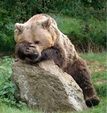 Znalezione obrazy dla zapytania gÅupoty