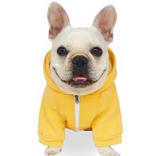 Fashion Pet Dog Cat Hoodies 2 Legs Pet Clothes Cotton Puppy Winter Sweatshirt Warm Sweater Coat Jacket
