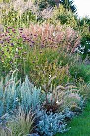 Pin On Tuin