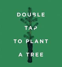 Photo Of Tiny Tree Has Become 5th Most Liked Photo On Instagram All About The Viral Campaign Trees To Plant One Tree Instagram