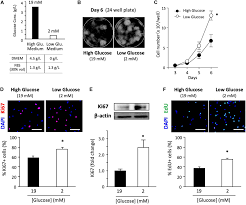 Download product flyer is to download pdf in new tab. Frontiers Excess Glucose Impedes The Proliferation Of Skeletal Muscle Satellite Cells Under Adherent Culture Conditions Cell And Developmental Biology