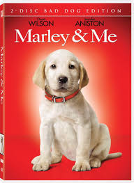 Life and love with the world's worst dog. Marley Me Wallpapers Movie Hq Marley Me Pictures 4k Wallpapers 2019