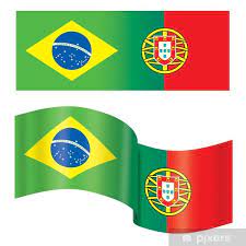 Presidente da academia brasileira de ciências, luiz davidovich diz que brasil vive seu pior momento no financiamento da pesquisa científica. Bandeira Do Brasil Redonda Png