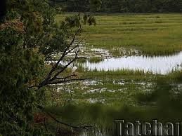 We did not find results for: Cheesequake State Park A New Jersey State Park Located Near Asbury Park Avenel And Basking Ridge