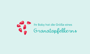 Tag nach dem eisprung, also ab der 4. 6 Ssw Symptome Schwangerschaft Entwicklung Pampers