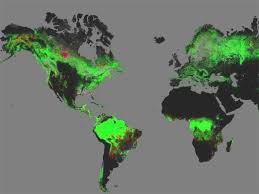 Resultado de imagen de deforestación