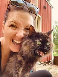 Lost cat found in Springdale near Turner and Robin Hood