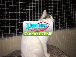 Kedi Koruma Filesi Grubu Urunleri Lider File Ankara 0507 073 06 58 Lider File Balkon Guvenlik Filesi