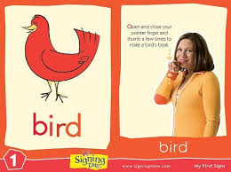 Bird In Sign Language Sign Of The Week Bird With Images Sign Language For Kids Sign Language Phrases Sign Language Lessons