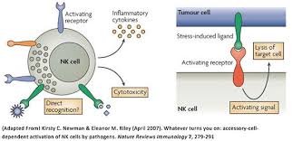 Check spelling or type a new query. Direct Nk Cell Killing Nexcelom Bioscience
