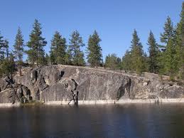 Forest Growing from Granite