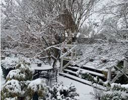 If i cut down the plants, is it ok to just spread it around the garden? Winter Garden Arkiv Gardenize