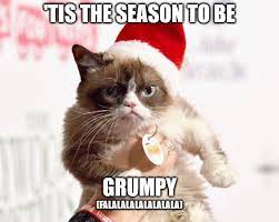 50 Funny Merry Christmas Memes Jingle All The Way