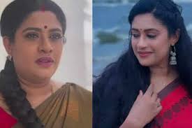 88-Year-Old Retired DIG Inderjit Singh Sidhu: Cleaning Chandigarh Streets  Every Morning