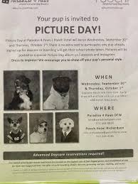 Bring man's best friend to these locations. Turqukriz On Twitter If You Live Near Richardson Texas We Are Having Picture Day At My Job Sep 30 Oct 1 Dressing Up Is Recommended But We Have Ties And Bows