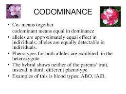A gene or allele shows dominance what is understood by codominance and incomplete dominance? What Are Codominant Alleles