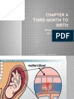 William h albert is a doctor primarily located in owensboro, ky, with another office in harrisburg, pa. Anesthesia For Foetal Surgery Dr Athira S Madhu Fetus Atrium Heart