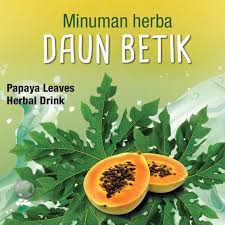 Mahu jadi ejen pengedar jus daun betik kami? Demam Denggi Jus Daun Betik Posts Facebook