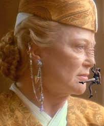 What was the good idea that backfired?