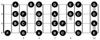 Download our free blank guitar neck diagrams, blank bass neck diagrams, and blank ukulele neck diagram. How To Find Any Note On The Bass Guitar Easy Method