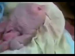 Chica Tuvo Relaciones Con Un Animal Y Quedo Embarazada Y Nacio La Criatura Sexo Animal 2016 Youtube