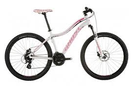 Damen Mountainbike Gunstige Lady Bikes Von Top Marken